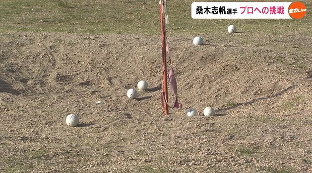 桑木８.png