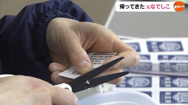 かど 事務所2.png
